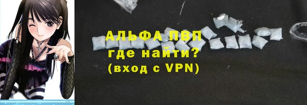 гидра Бородино