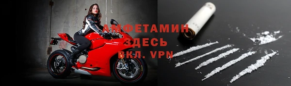сатива Бронницы