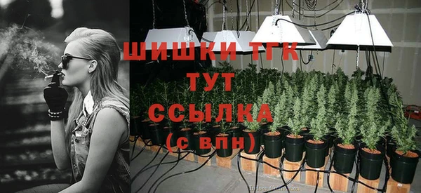 а пвп мука Богданович