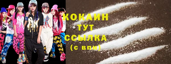 сатива Бронницы