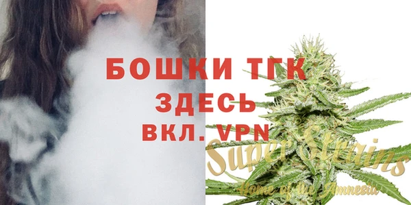 прущие грибы Богородск