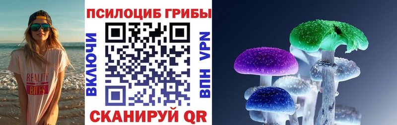 продажа наркотиков  Пионерский  Псилоцибиновые грибы мухоморы 